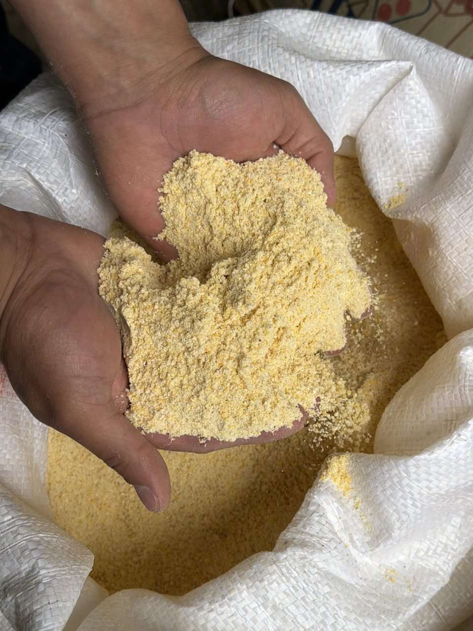 Harina de maíz amarillo bulto 40 kg